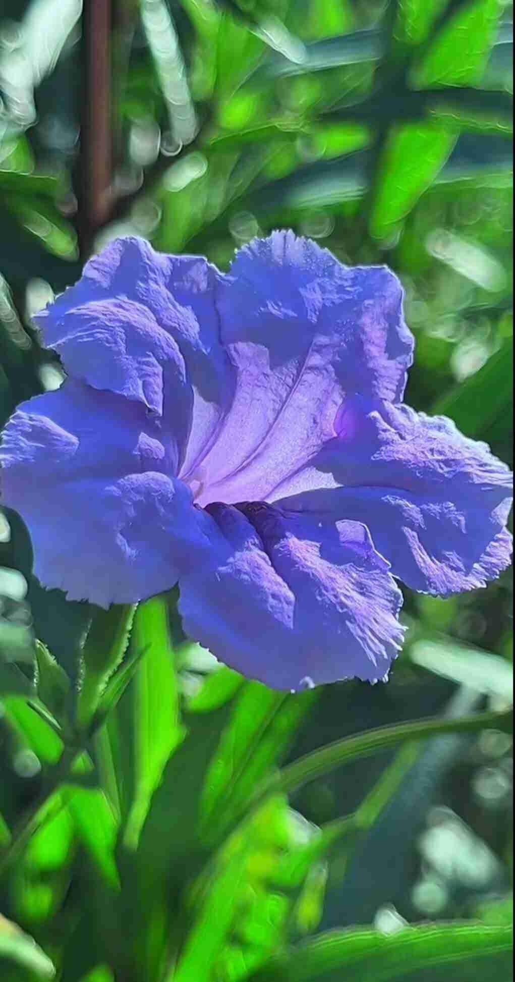 春鸟欢歌，燕语莺啼，在枝头间穿梭，奏响着春天的乐章，让人心旷神怡。让我们走进春天