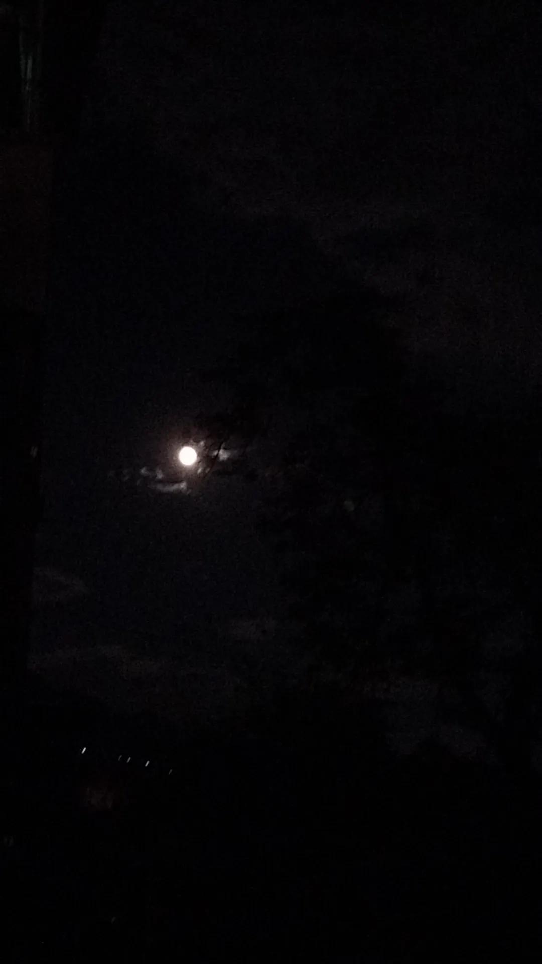 冬日生活打卡季中双色球一等奖