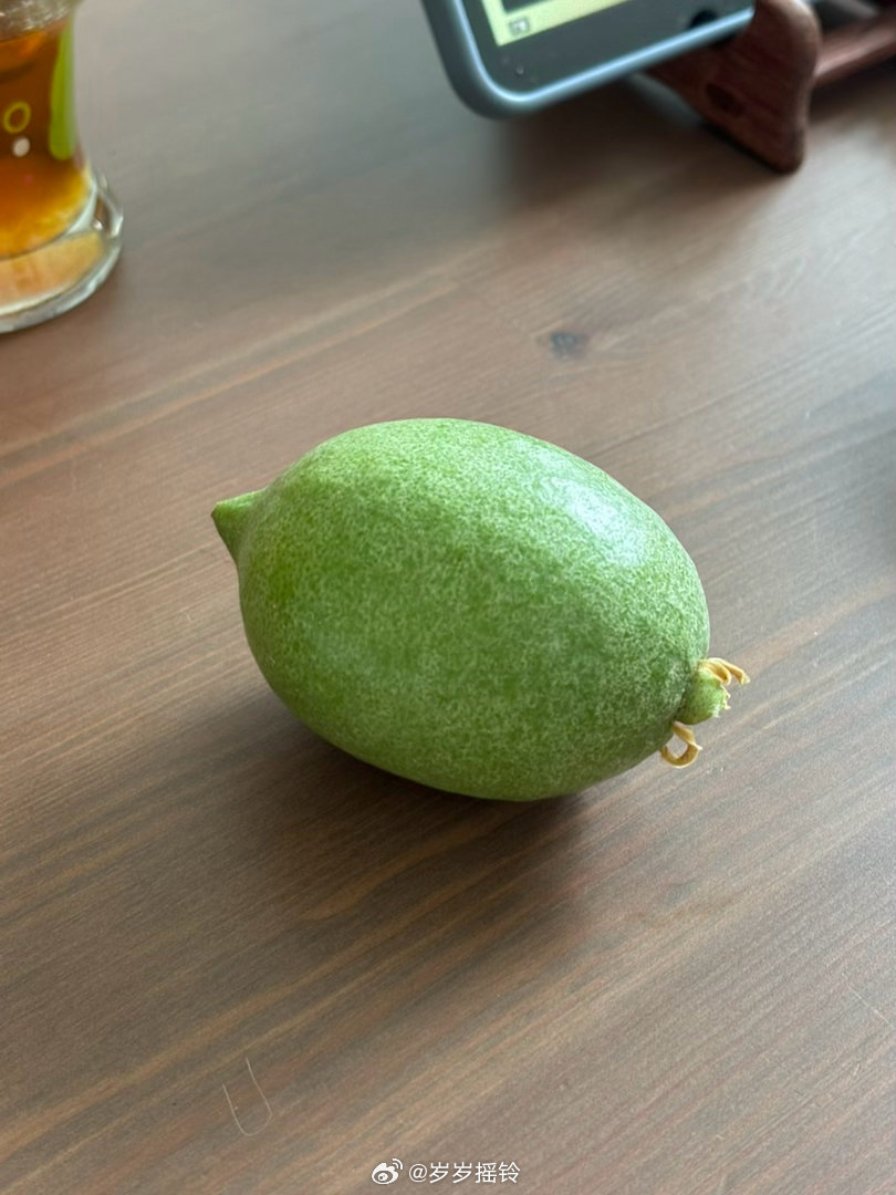 是的这是我亲手种出来的柠檬 