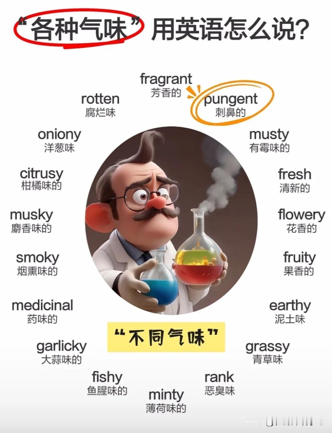跟“气味”有关的英语词汇
