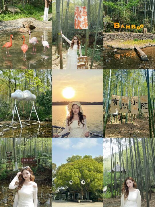 常州 | 南山竹海+天目湖𝟮天𝟭夜靠谱攻略🎋