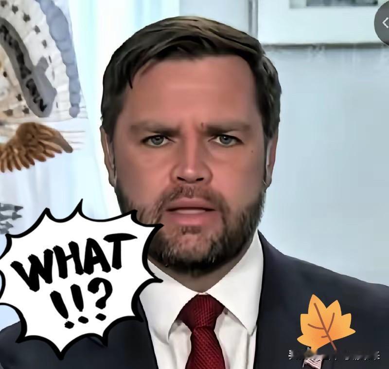 快讯！快讯！
美国副总统万斯宣布了！
美国副总统万斯近几日在中美关系问题上发声称