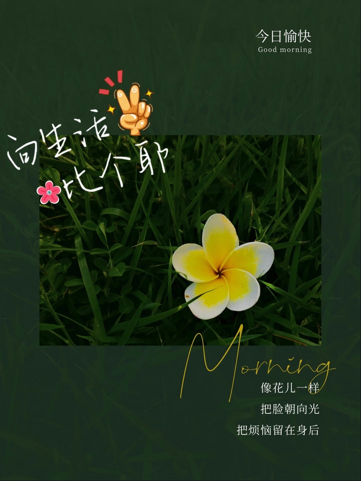 晨光就位，新日开启。心宽一寸，烦恼退一丈。带着松弛感出发 