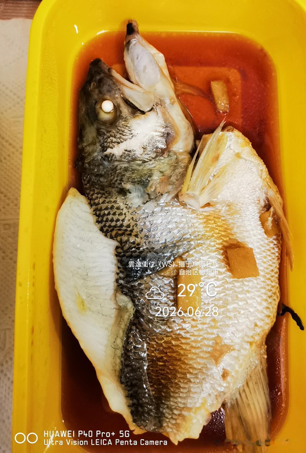 月居生活记录（10027）广西壮族自治区柳州市（64）品尝小吃21：清蒸鲈鱼+蒜