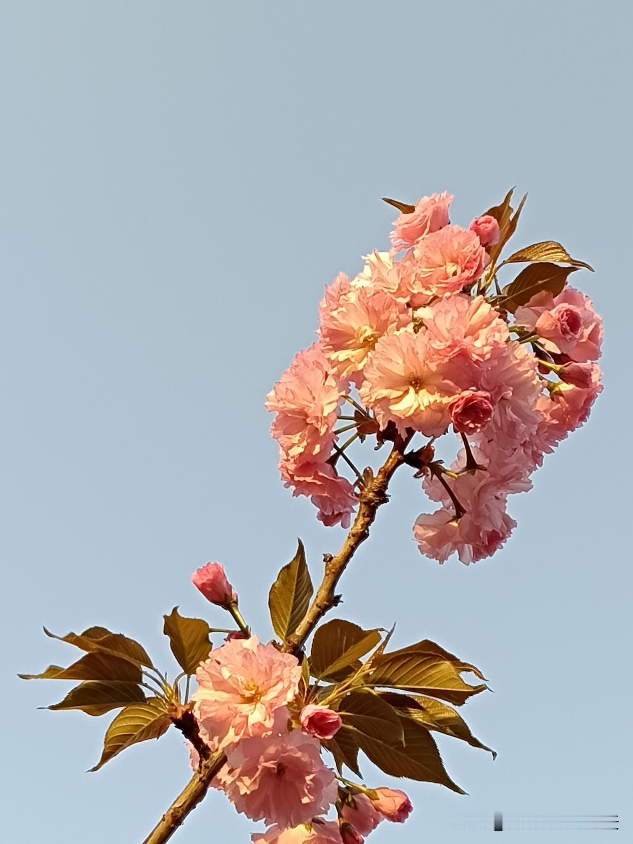 谁家祖上还没个皇帝?
一、赵家--赵匡胤建立宋朝
二、钱家--钱镠建立吴越国
三