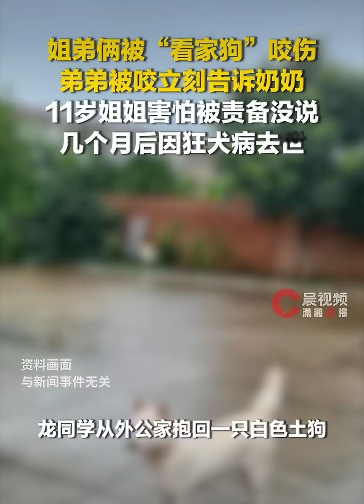 哪个孩子小时候没因为怕挨骂瞒过点事？但这种事真的瞒不起。当爸妈的平时别让孩子怕到