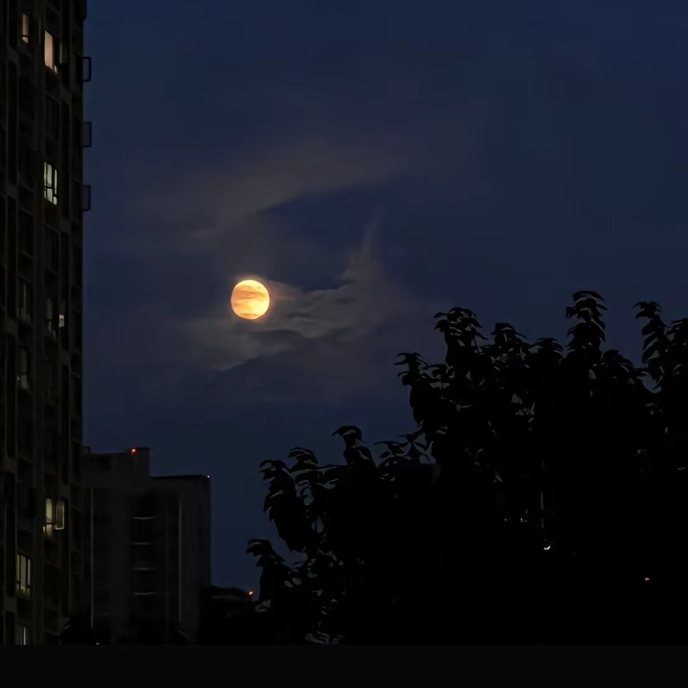 月圆人圆事事团圆 人顺心顺事事都顺月光所至 萬事勝意 祝你 祝我 祝我們#我的日