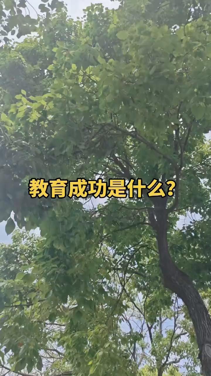 教育成功是什么？
父母最大的成功就是让孩子离开自己后仍能勇敢前行，展翅高飞。真正