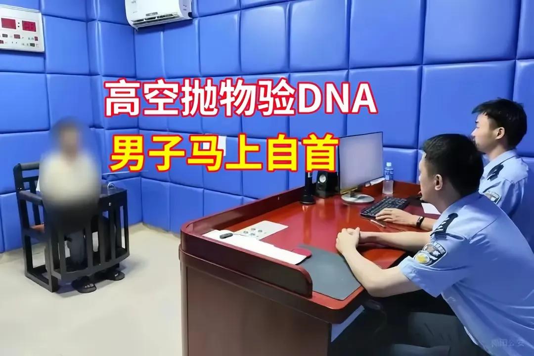 【震惊！高空抛物引发全民DNA大搜捕，神秘男子终自首】猛料来袭！江西某小区惊现高