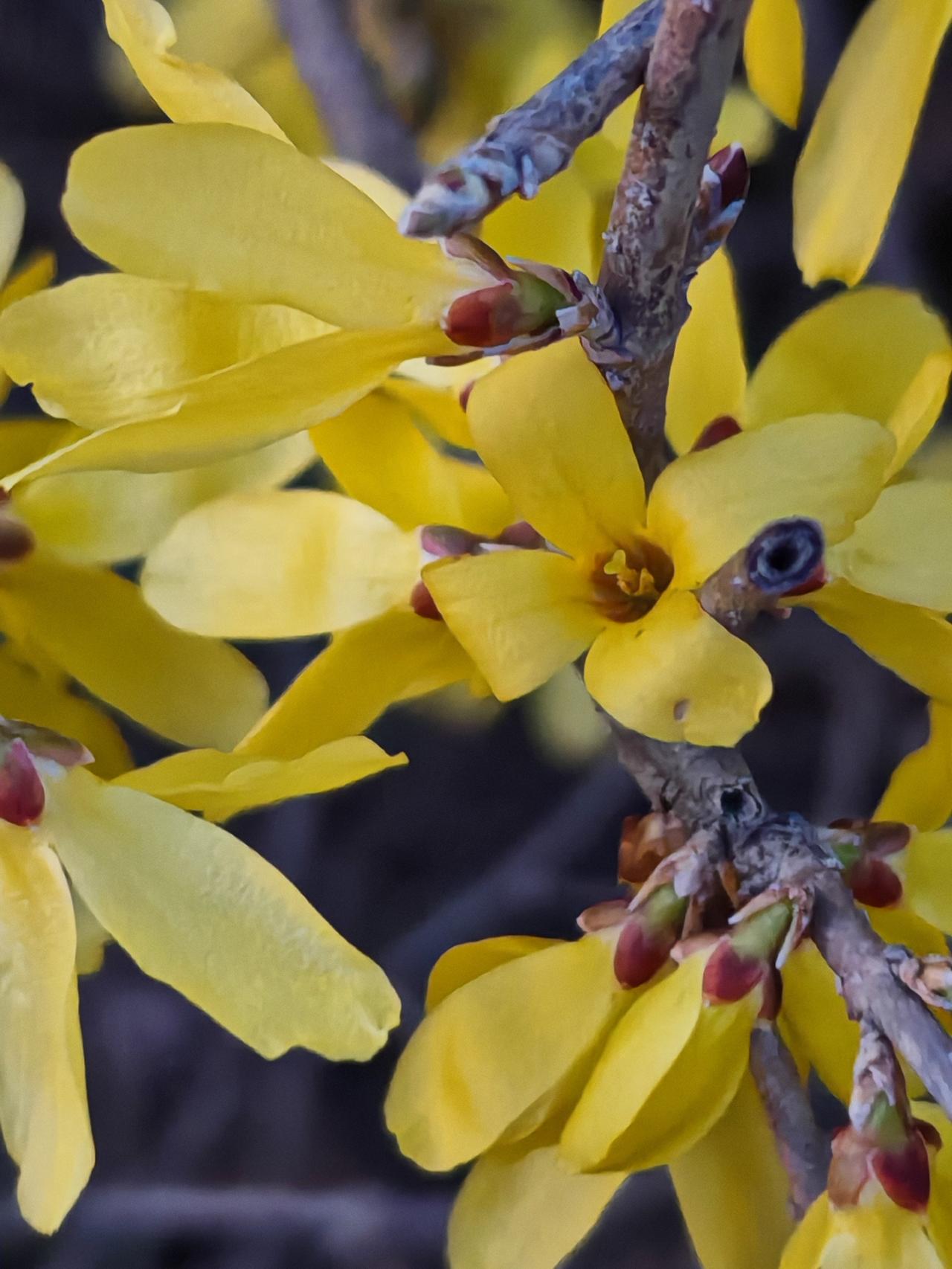 与痛风斗争的历程219
 
   今早醒来，周身关节都很安稳，没有以往的酸胀与隐