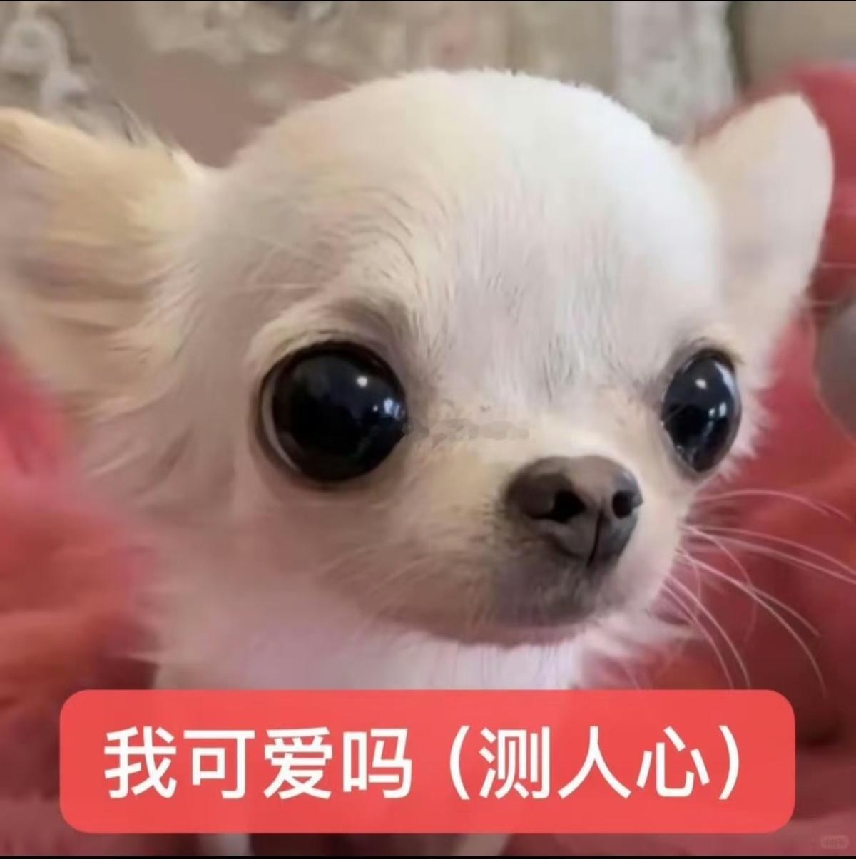 你们粗来！认识我，快用POME来向我匿名发问！网页链接  ——POME 匿名提问