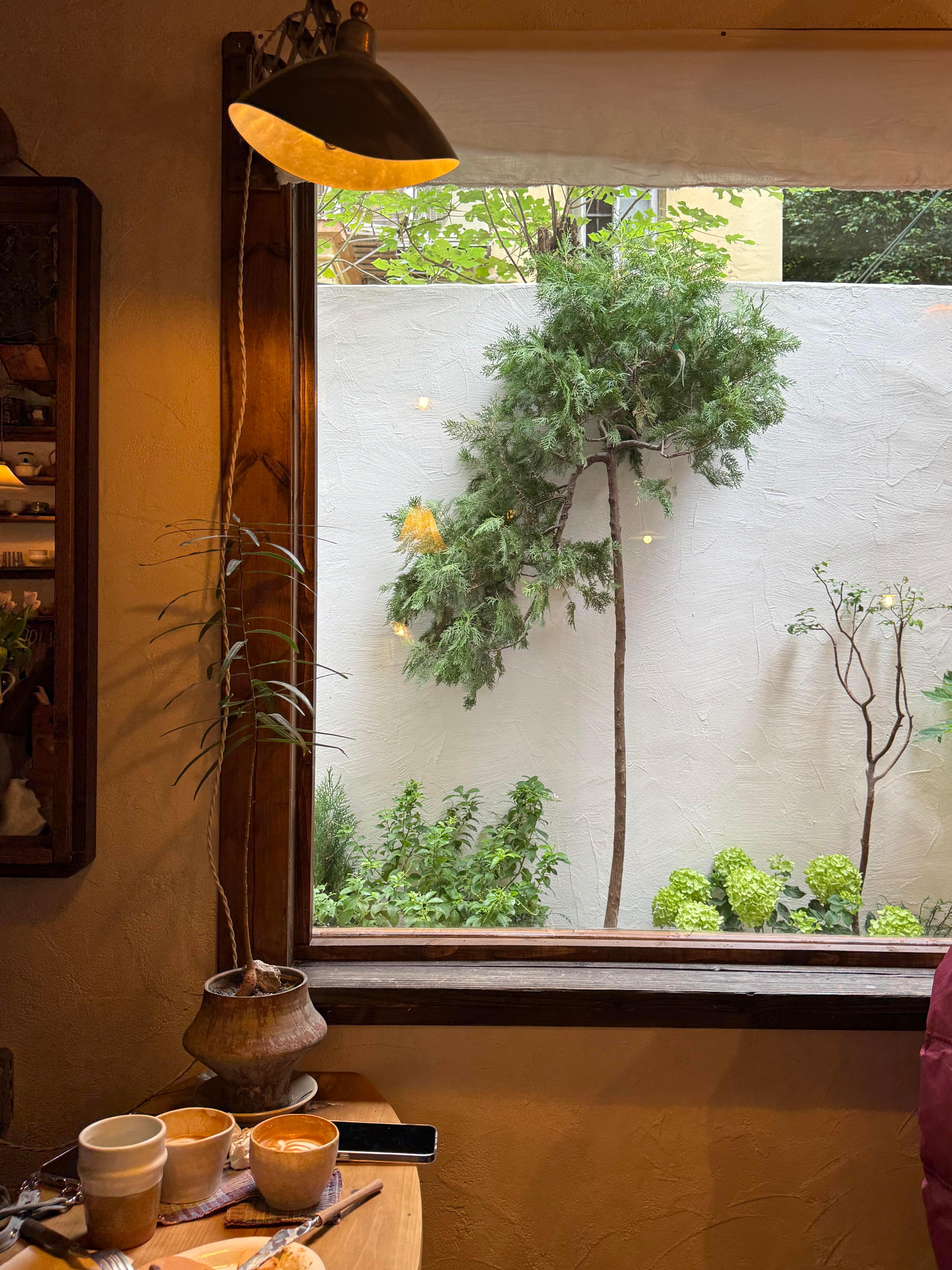 眼睛会遗忘的东西 就让相机记录吧📷 