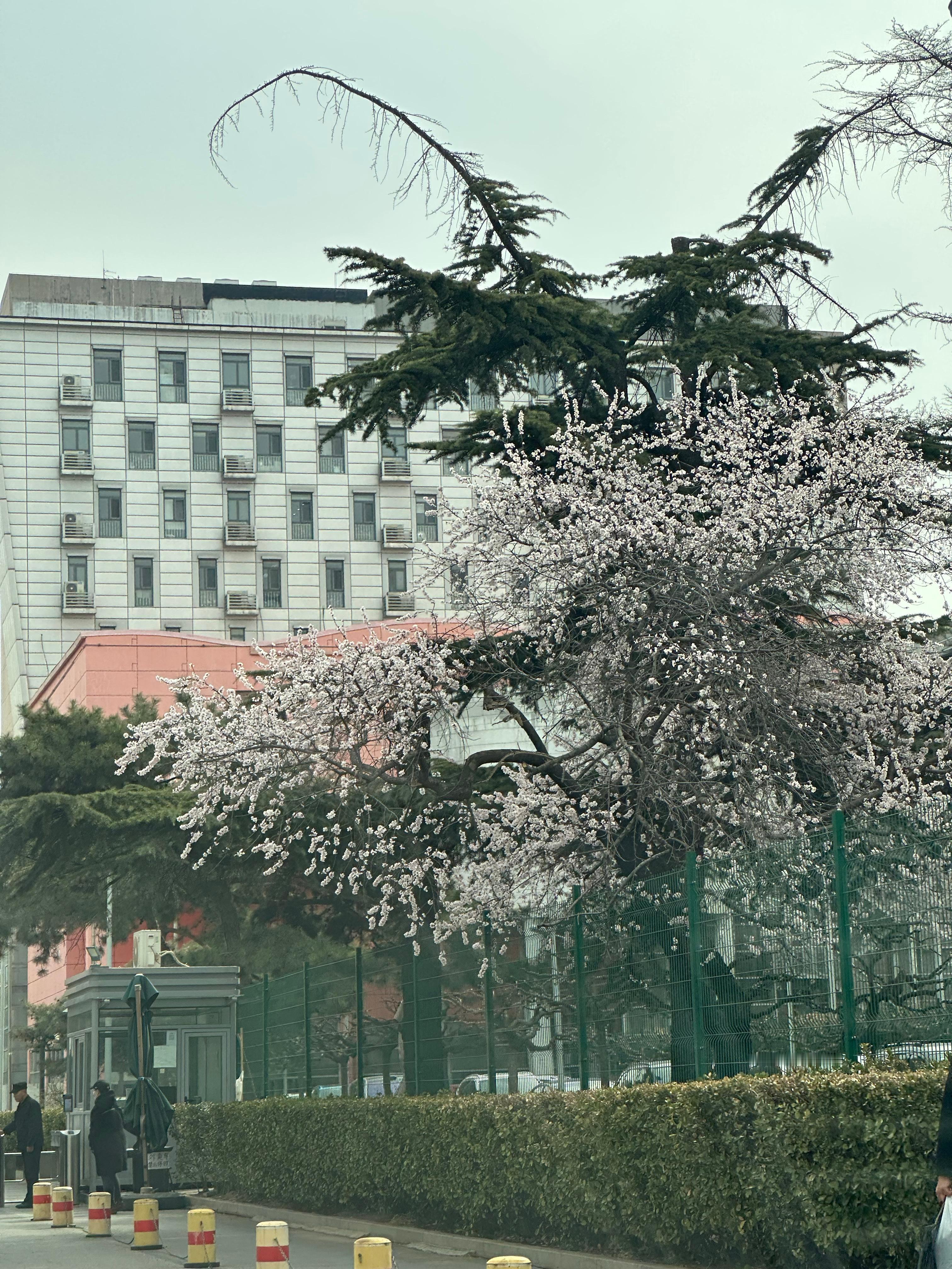 “生命久如暗室，不妨碍我明写春诗。” ​​​