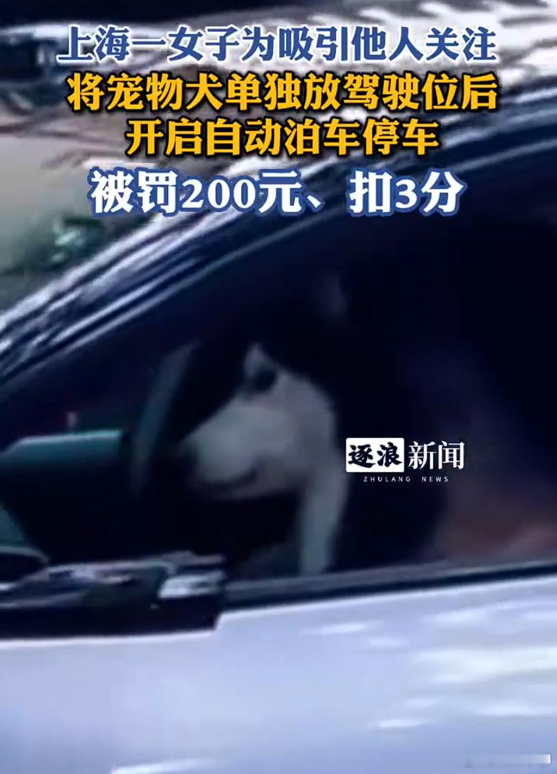 女子为炫耀自动泊车下车把狗留驾驶位  我是完全无法理解交警对辅助智驾判罚的标准的