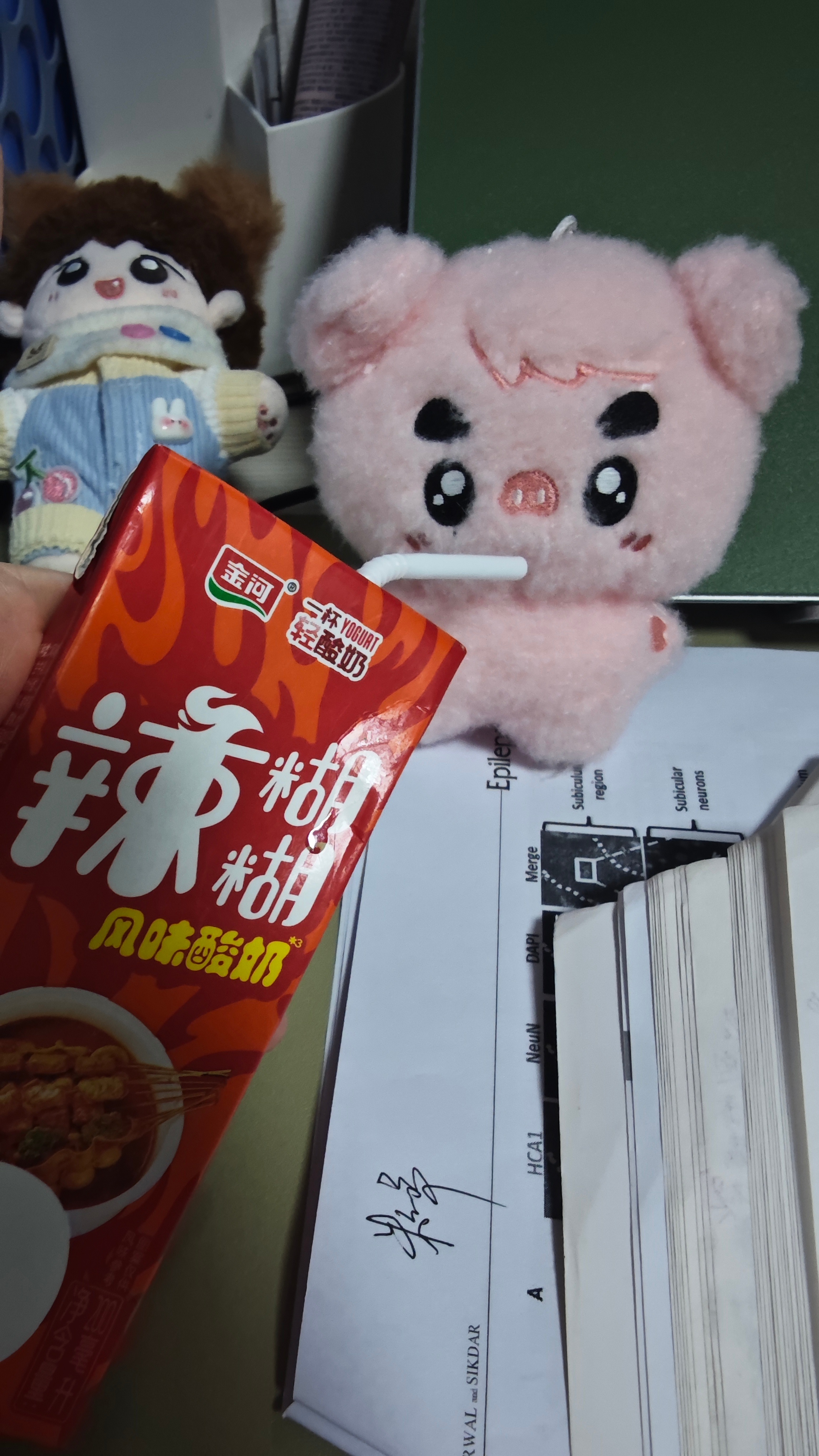 请猪喝个宁夏的酸奶