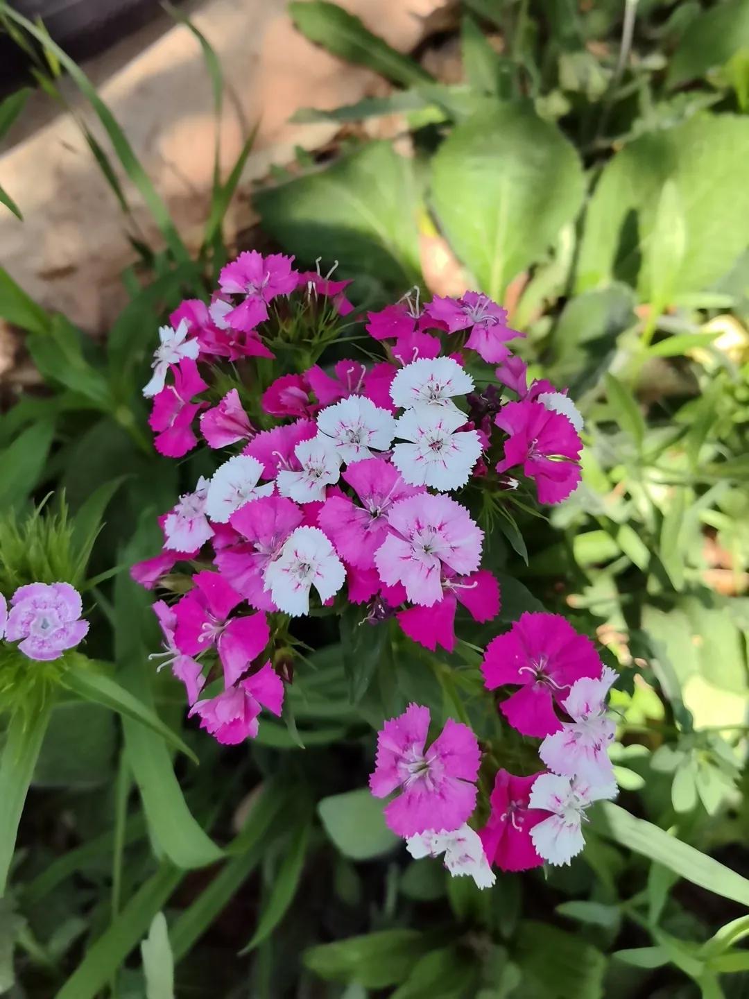 昆明安宁是个好地方，我来了好多次，不管是因为工作，还是来玩和休闲，每次都是这个感