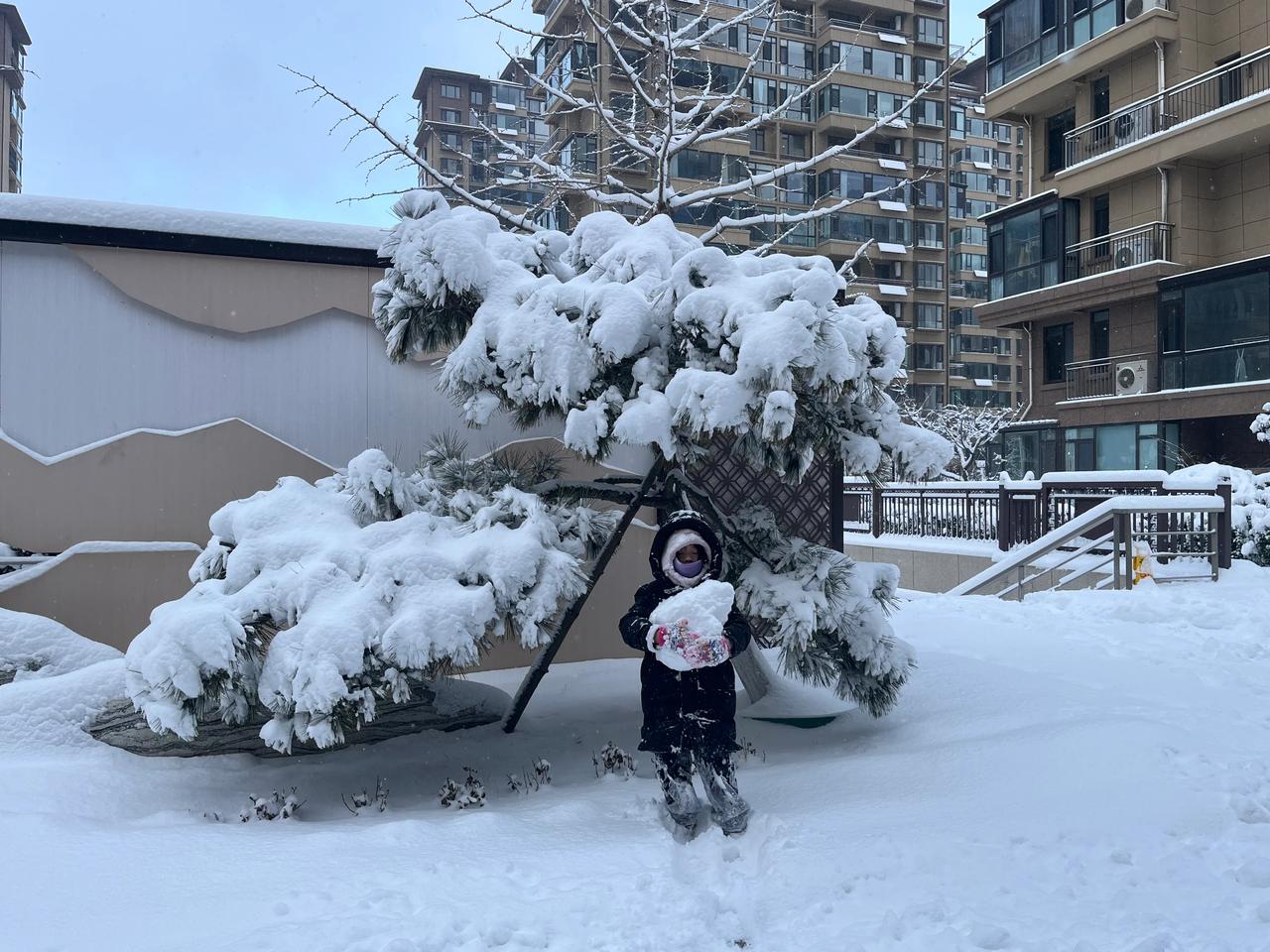 威海今天的雪真的好大，恰逢周日，最开心的是放假在家的小朋友们