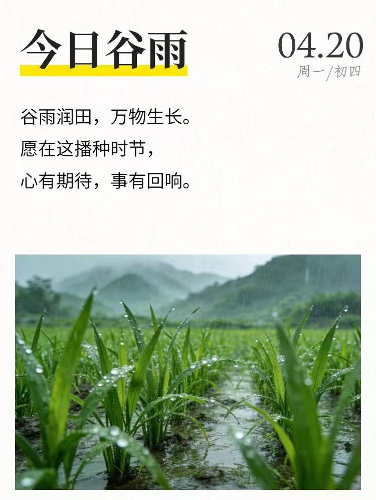 💦雨生百谷🌾🌾万物逢时🌿

谷雨，是春天的最后一个节气，愿你我都能跟上春