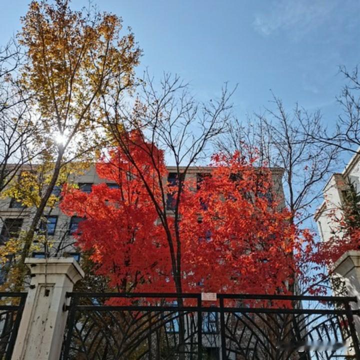 棉麻的衣服到底会不会缩水？我用我亲身经历告诉你根据料子不同缩不缩水才知道呢。
我