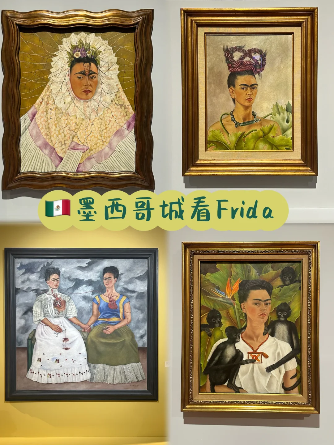 🇲🇽墨西哥城｜去哪里看弗里达最著名的画作