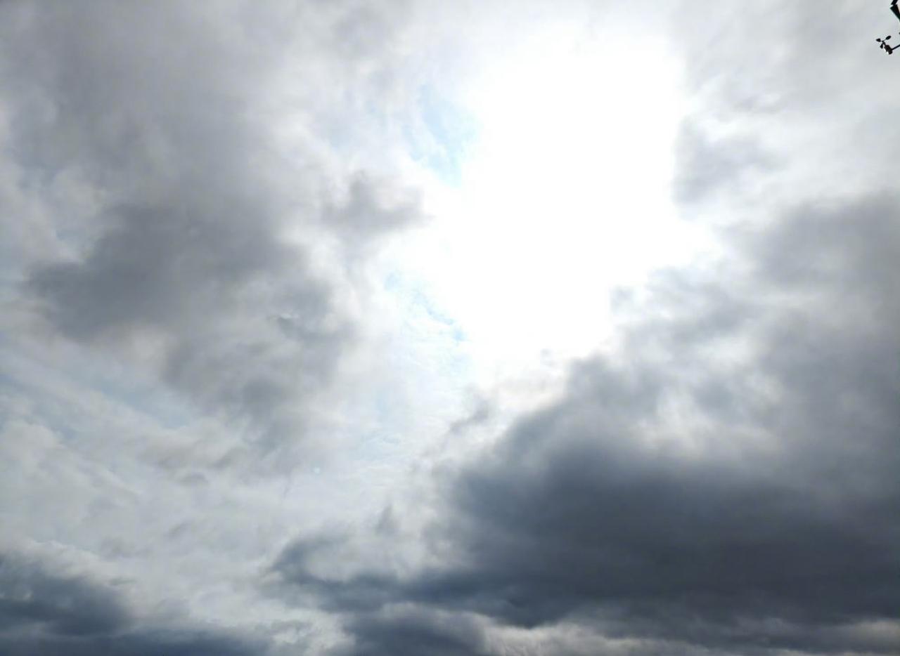 连绵不绝的阴雨，潮湿得让人仿佛都要长蘑菇了。今天，太阳终于奋力挣脱云层的束缚，撕