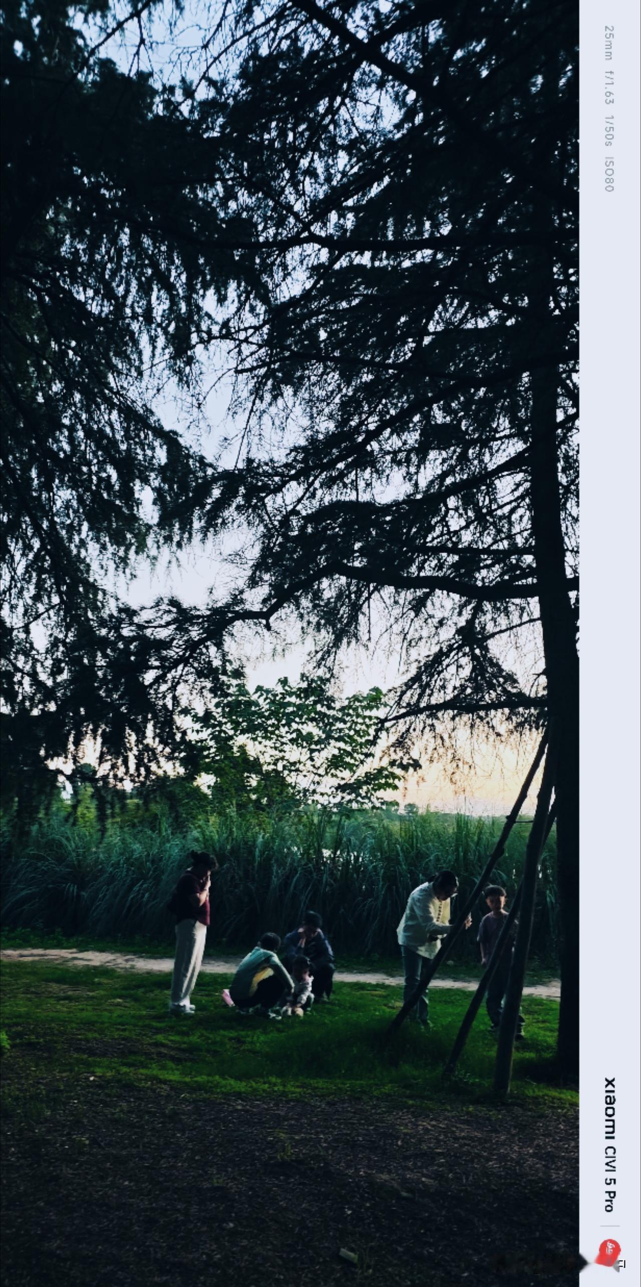 散步，望着江边的塔松下嬉戏的游人，不由的被感染了。生活无非就是那么回事，抱怨完后