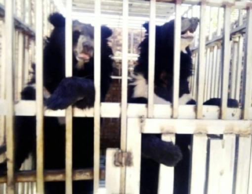 真是细思极恐，泰国海军陆战队进入一家柬埔寨赌场，空无一人的赌场深处，竟然发现了大