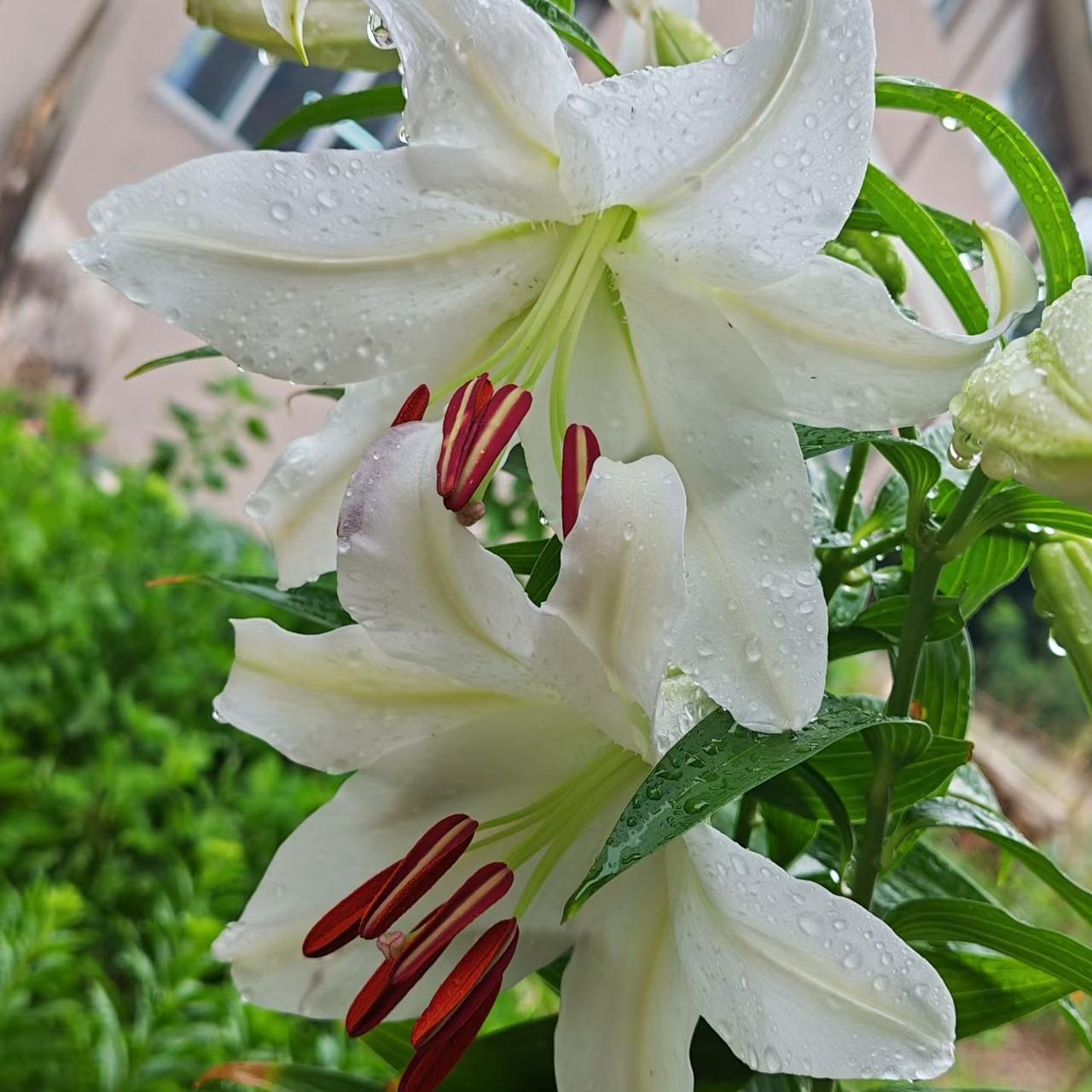 很喜欢一句话：“人生最好的解药，从不是耿耿于怀，而是与过往和解，与当下相拥。”