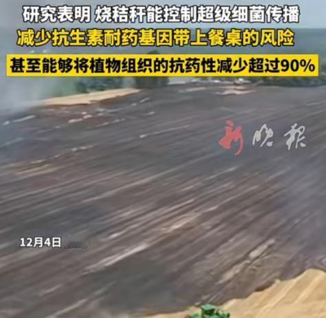 谁能想到？过去因 “制造雾霾” 被各地严令禁止、农民烧了就要挨罚的秸秆焚烧，如今