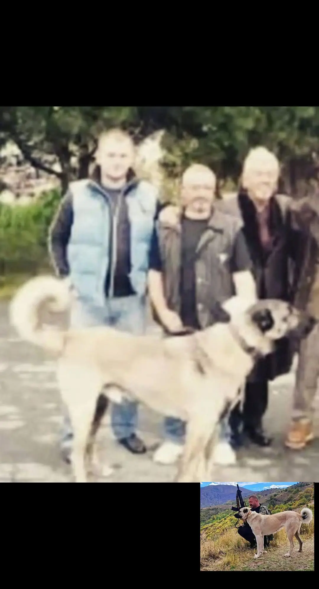 左边第一个翡翠原主人