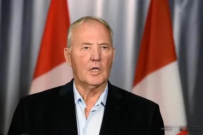 加拿大要完蛋了！丧失自己的判断，跟着某大国屁股后面人云亦云！
来自渥太华（9）日