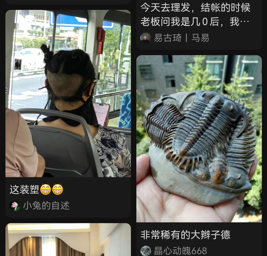 巧了 