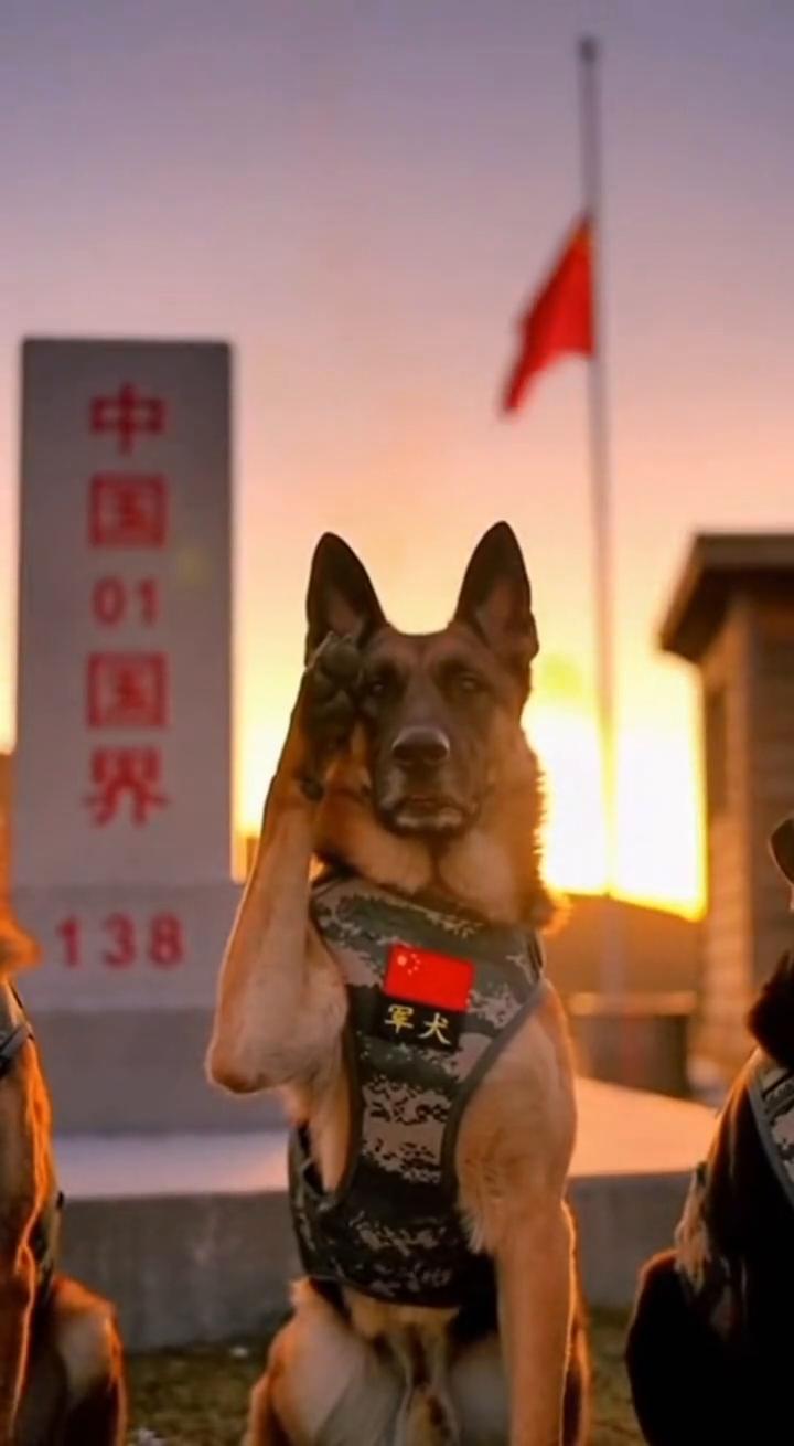 新年快乐，向你们拜年了。