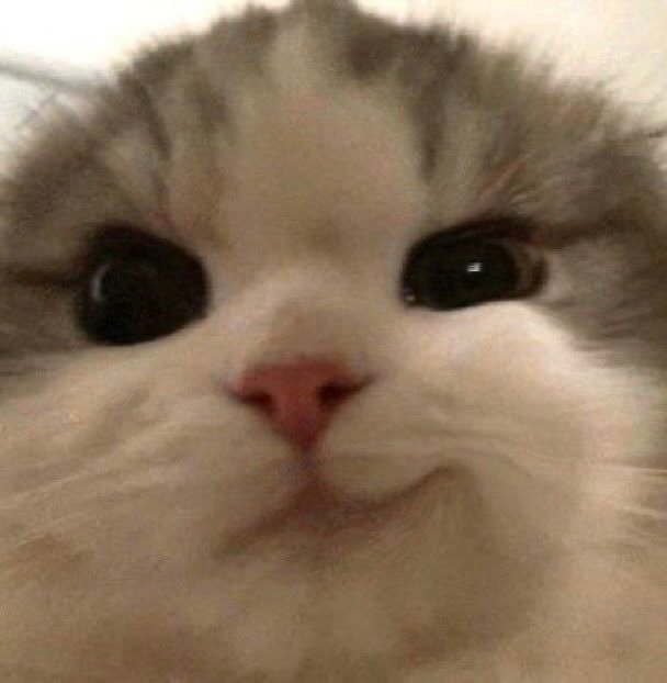 人 咪 is watching you©️fluffy_Yeonjun 