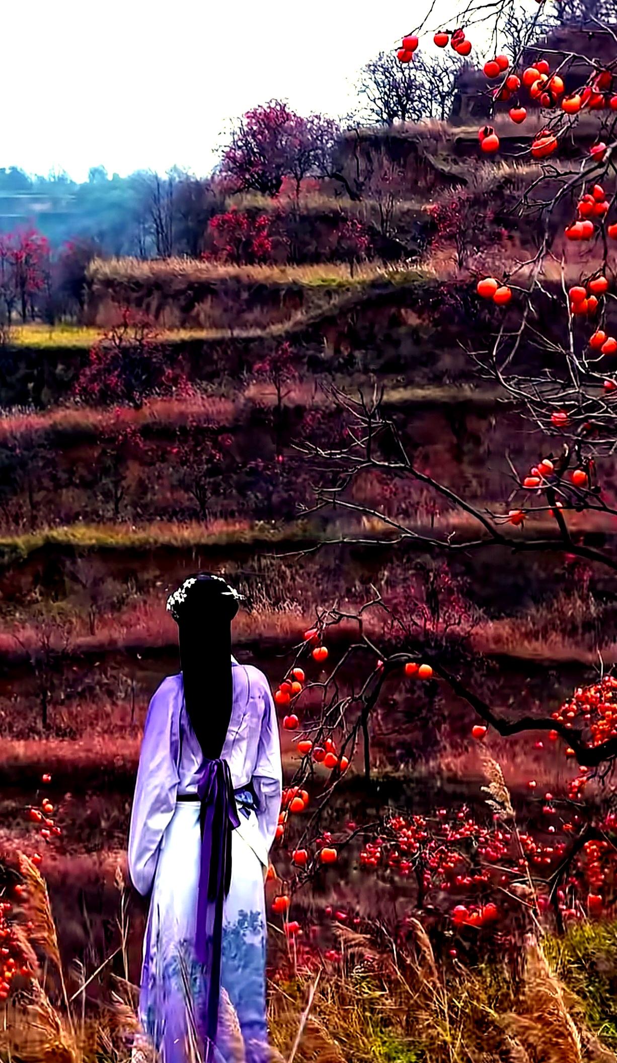 原创视频 原创作品