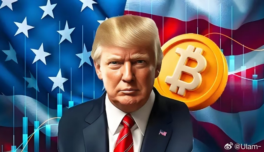 据《福布斯》报道，唐纳德·特朗普虽未在财务披露文件、特朗普集团资产清单等公开报告