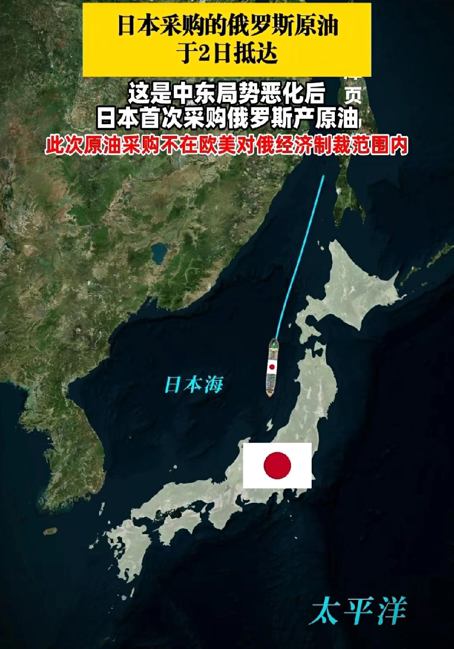 日俄关系一言难尽！

一边是高市早苗一上台就大手笔、大金额竭力军援乌克兰，一边是
