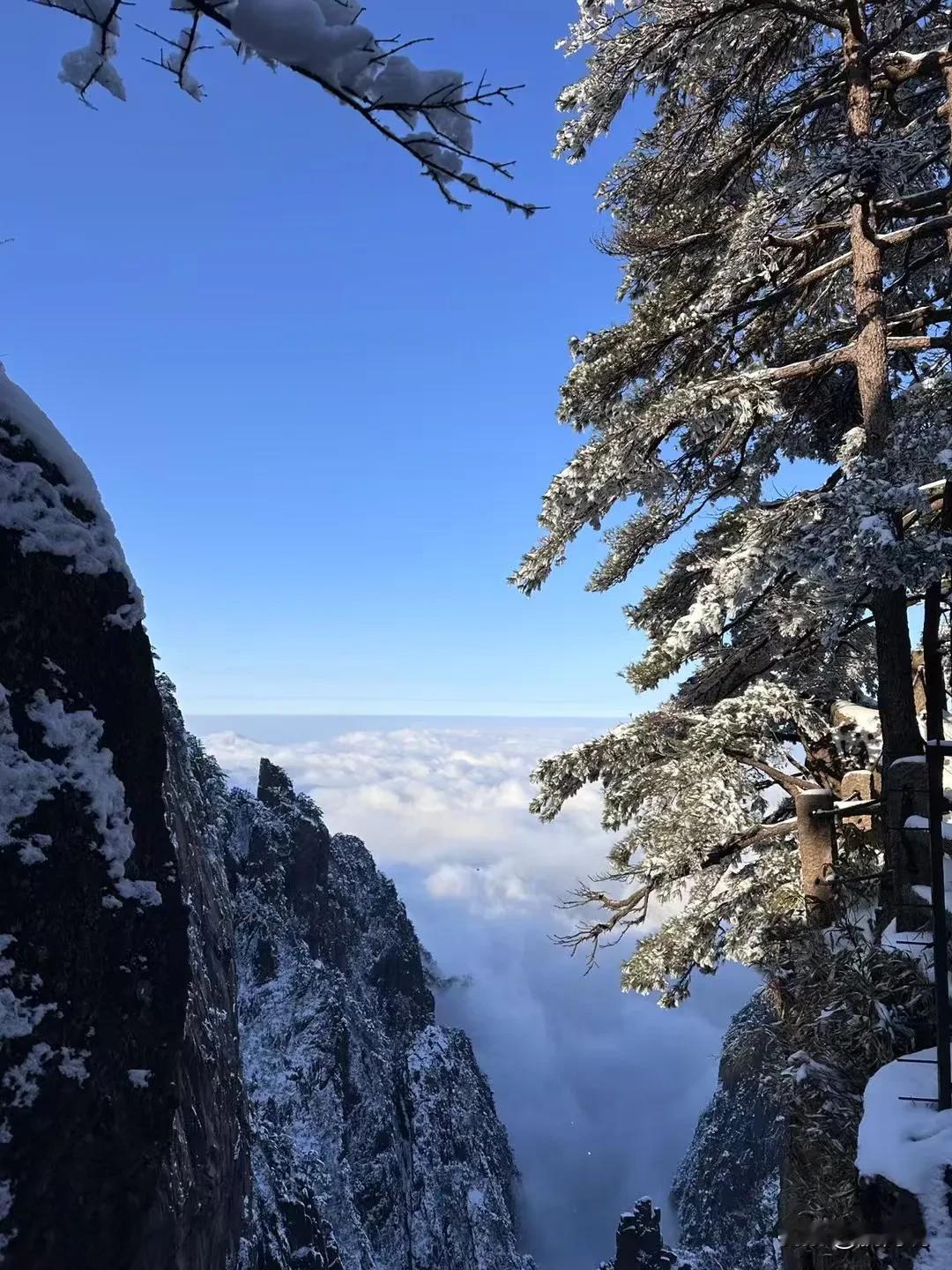 雪后黄山，白云、白雪+蓝天如洗！真的值回票价！