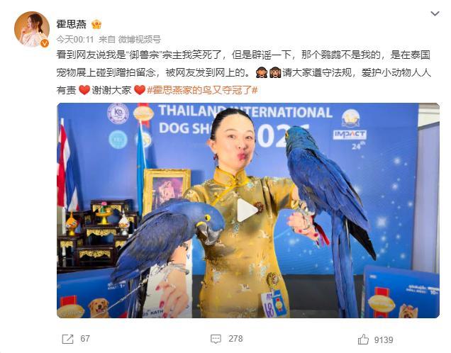 霍思燕说那个鹦鹉不是我的 霍思燕出来辟谣了，原来照片里的鹦鹉是霍思燕在泰国宠物展