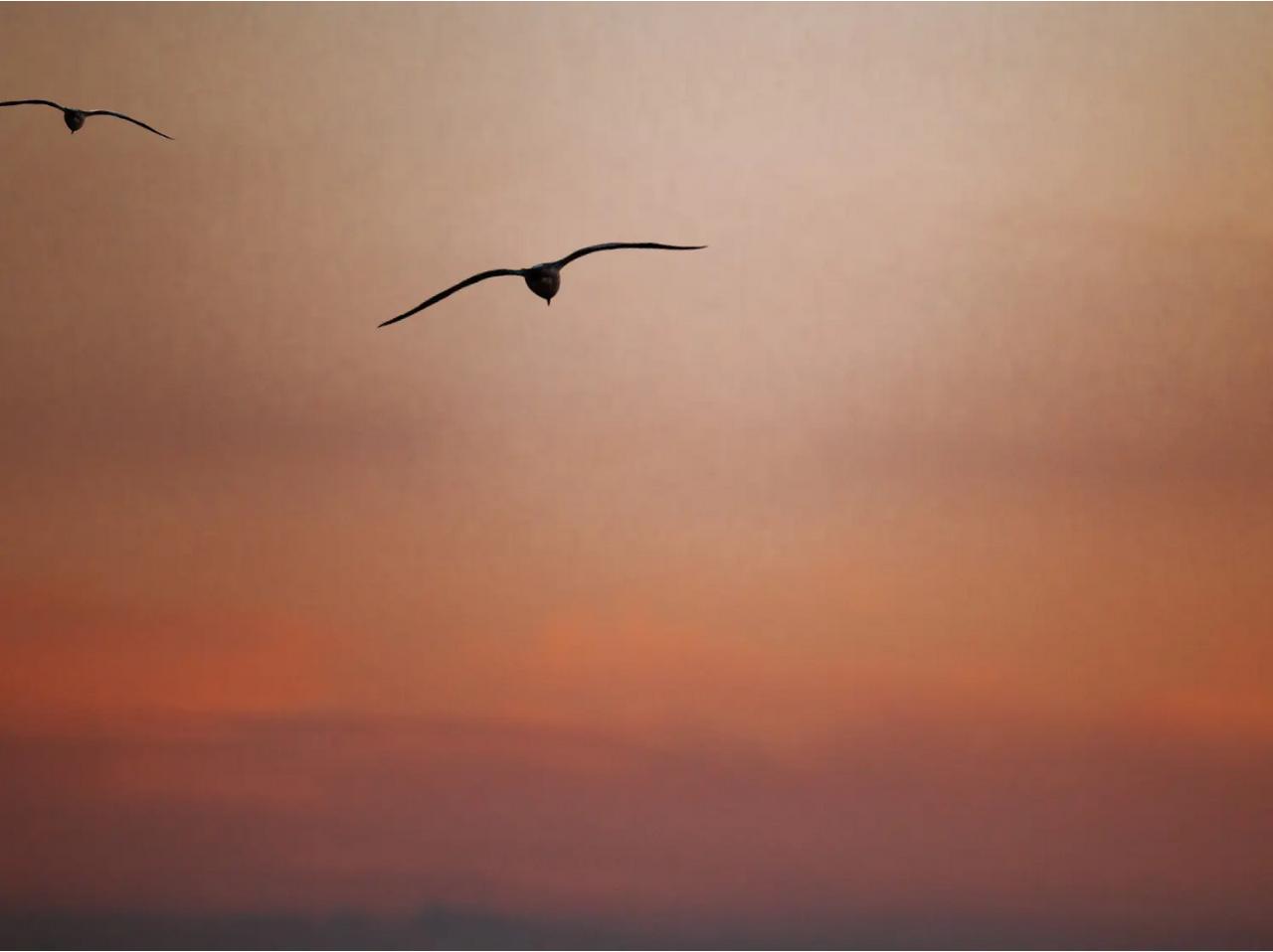 快来看看我新换的主页背景吧