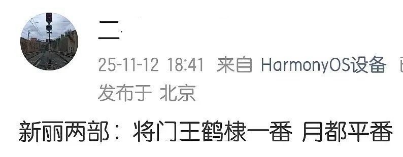 网传新丽的两部戏：《将门毒后》王鹤棣一番，《月都花落》丁禹兮、李兰迪平番。 