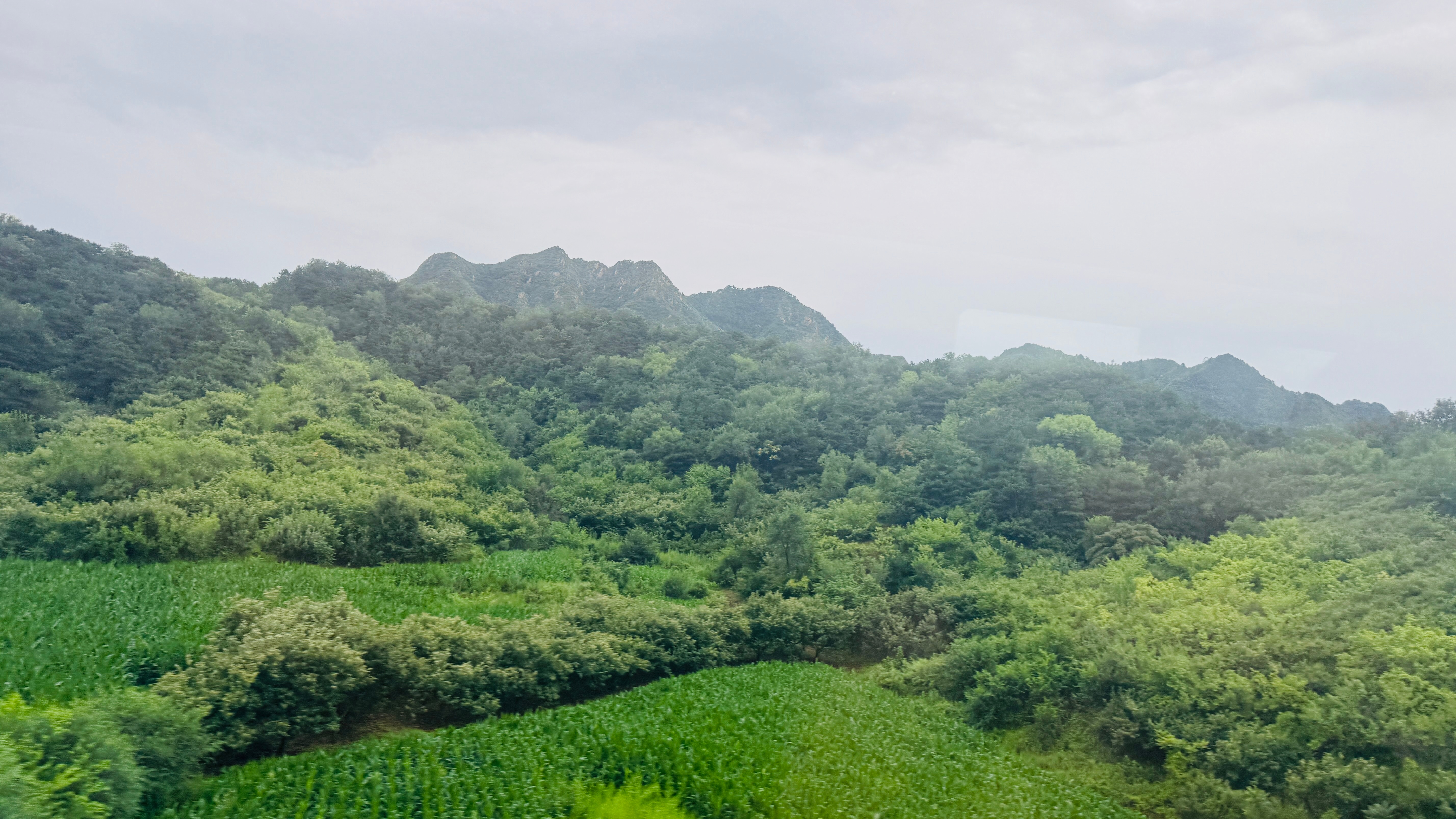 这几天 走南闯北 