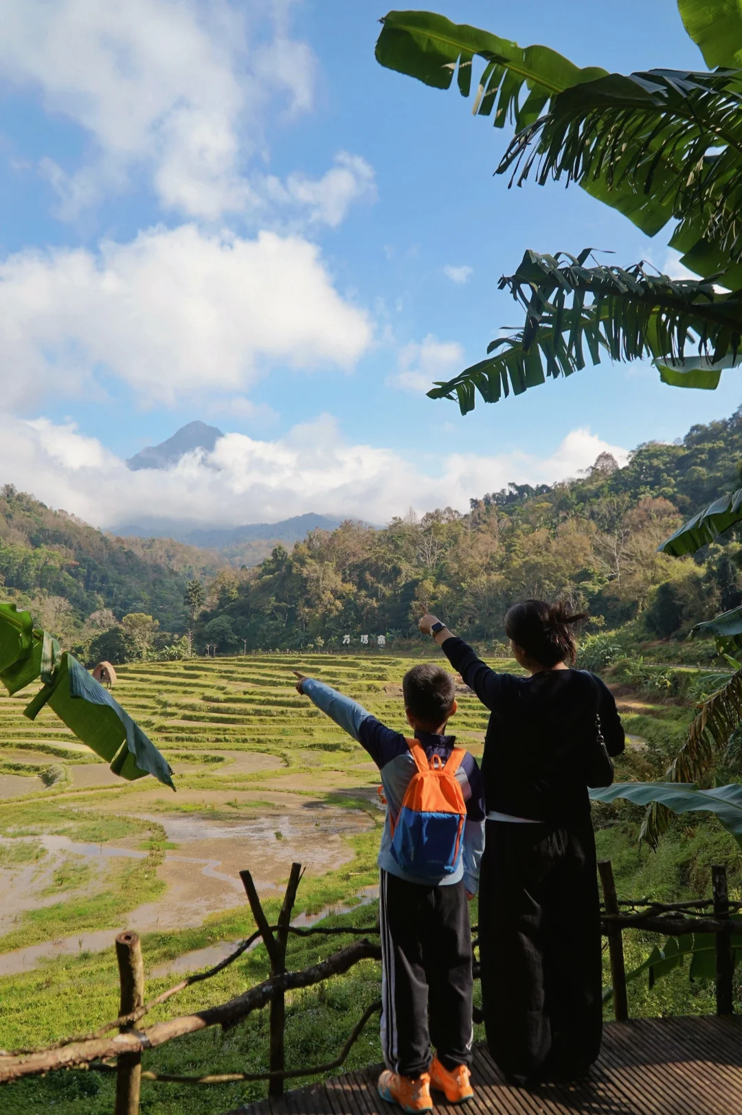 带着父母去旅行~这才是适合爸妈的海南攻略
