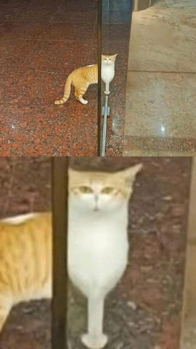 ？ ​​​