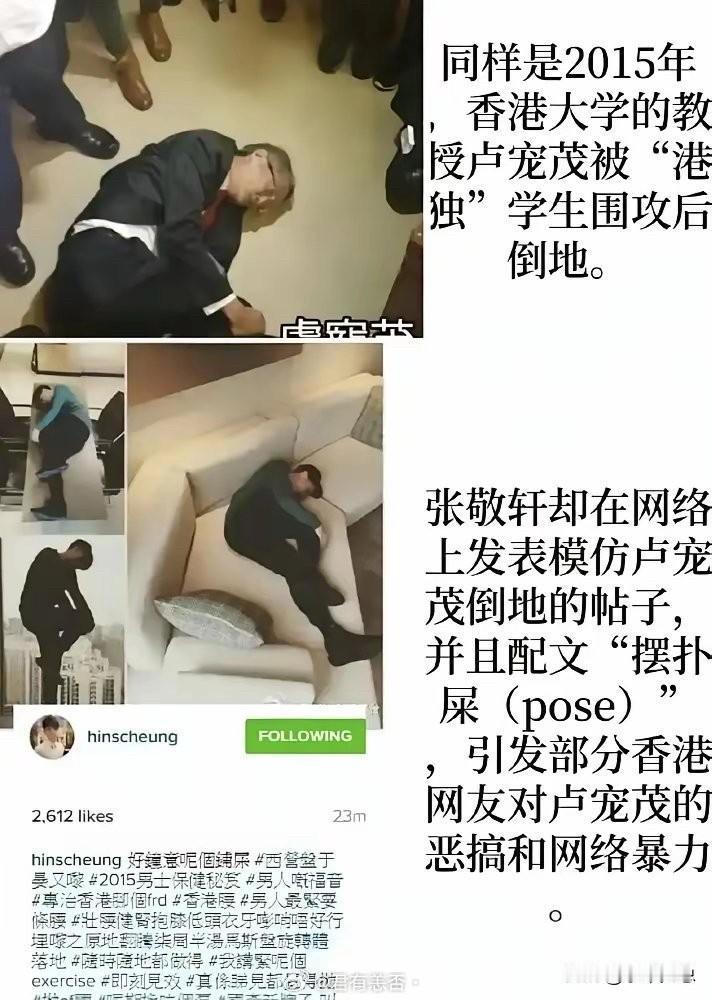 张敬轩那些烂事还有谁不知道？

2015年的时候，香港议员蒋丽芸说：“香港的食用