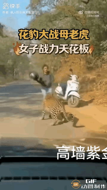 怎样才能丢掉胆怯呢？