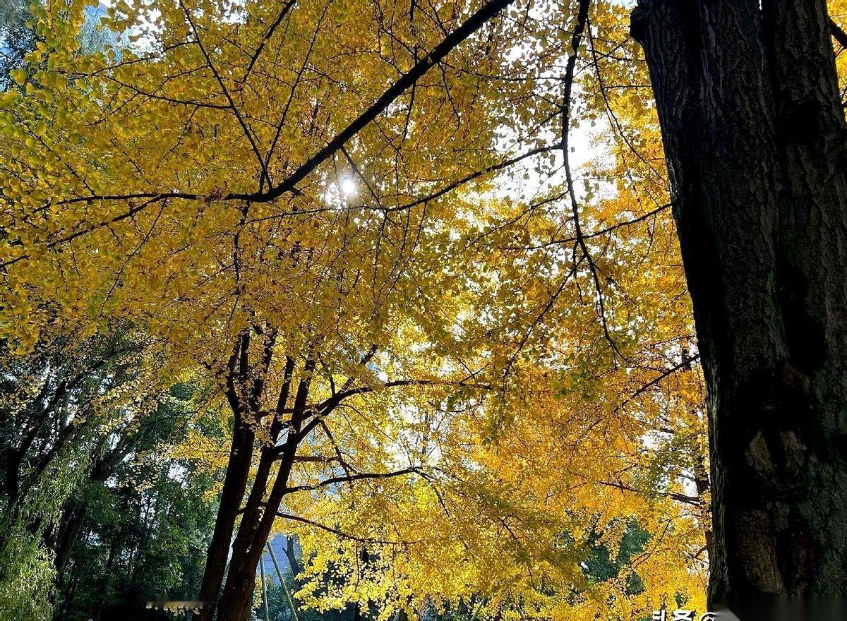 就一个小时。
前脚还在我办公室里哭哭啼啼，后脚就把离职单递上来了，脸上那叫一个云
