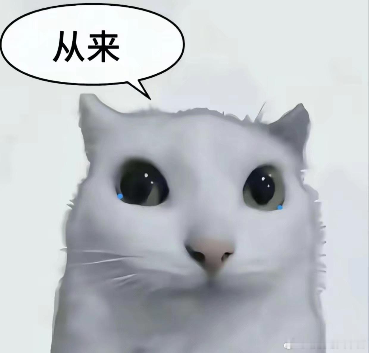 我要哭了 