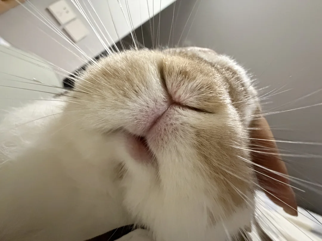 我赶时间⏰就吸一口吧
