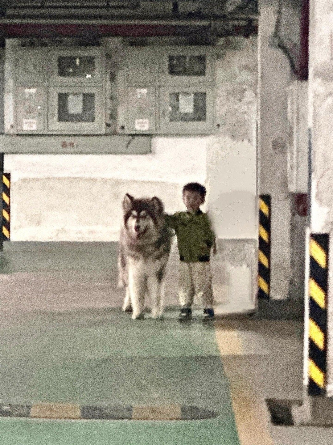 “我哥哥比我高一点点” ​​​
